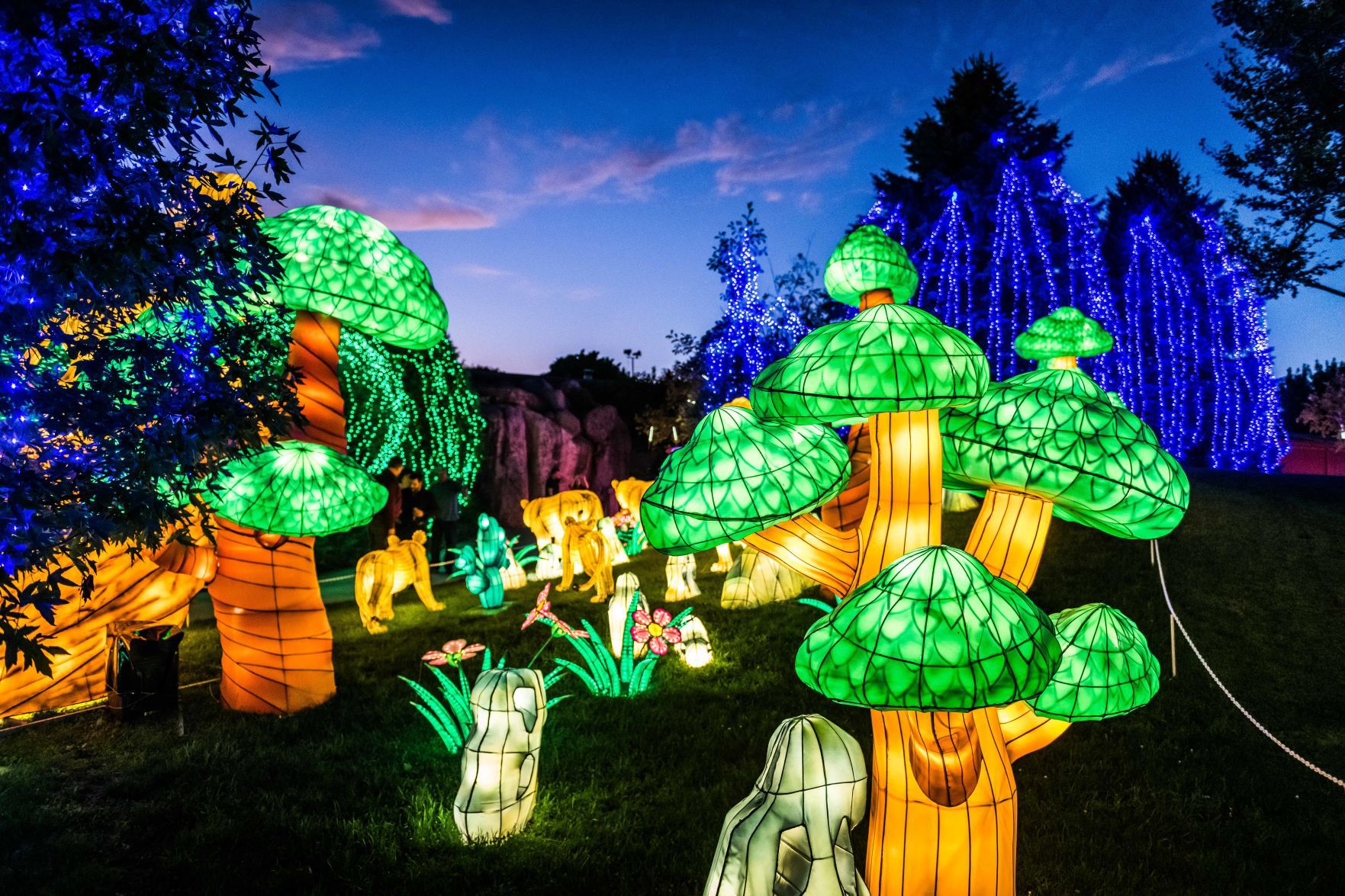 Lantern Festival